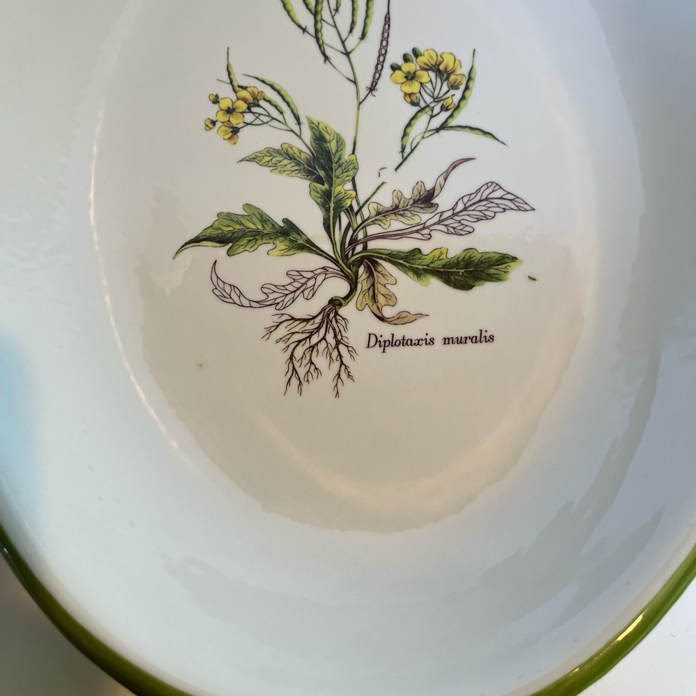 Vintage Italian Large Ceramic Bowl/Platter Featuring a Botanical Illustration - Picture 5 of 9